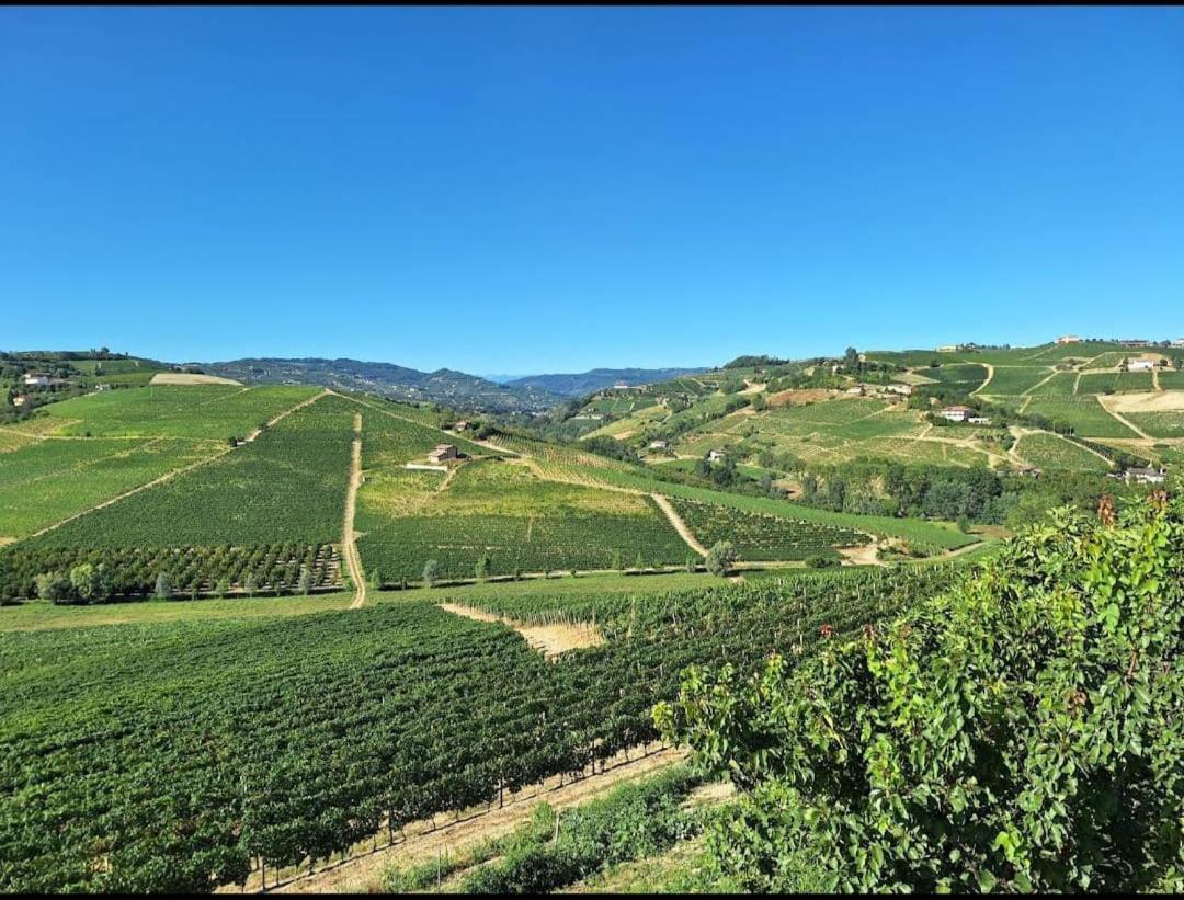 Agriturismo Vecchio Torchio Villa Canelli Dış mekan fotoğraf