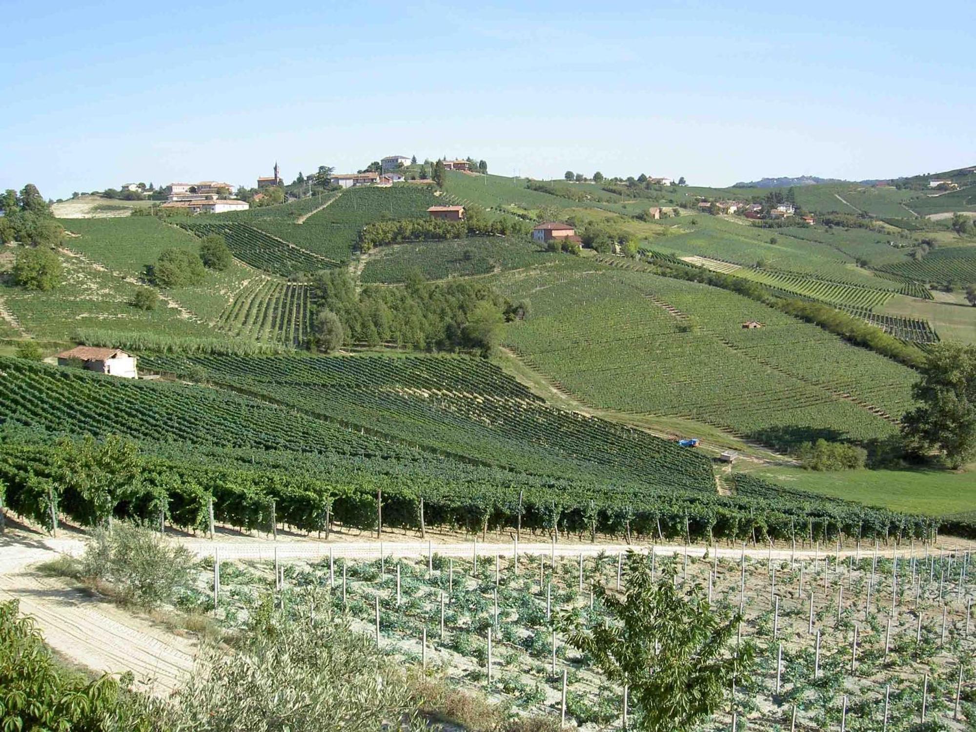 Agriturismo Vecchio Torchio Villa Canelli Dış mekan fotoğraf