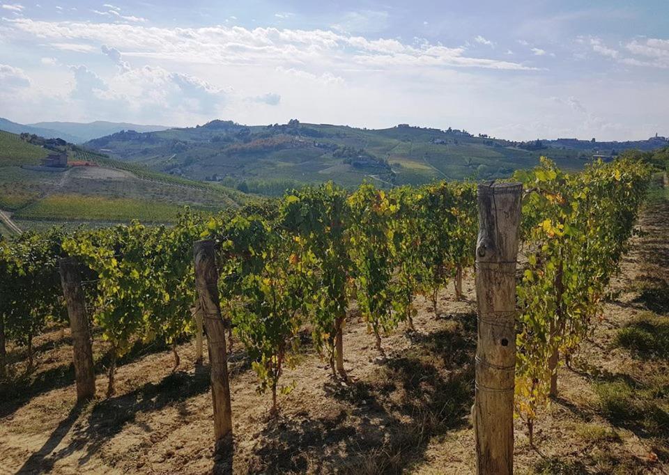 Agriturismo Vecchio Torchio Canelli Dış mekan fotoğraf