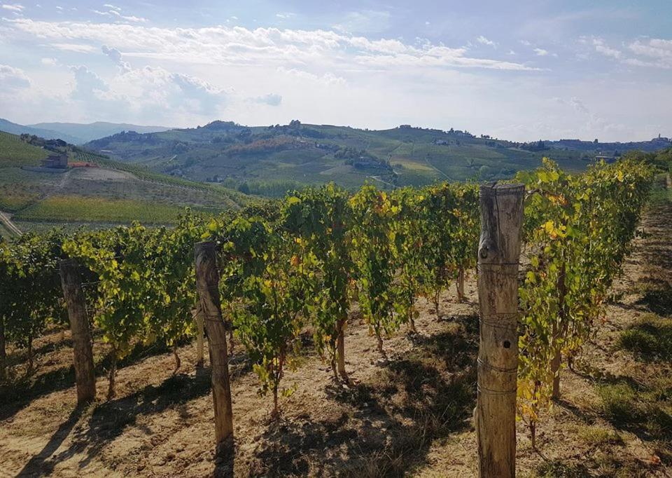 Agriturismo Vecchio Torchio Villa Canelli Dış mekan fotoğraf